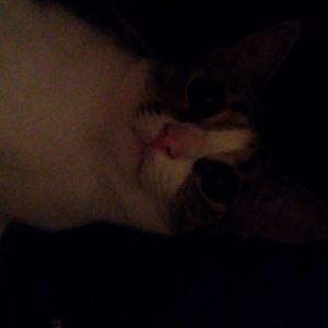 Meet your Posher, Noah